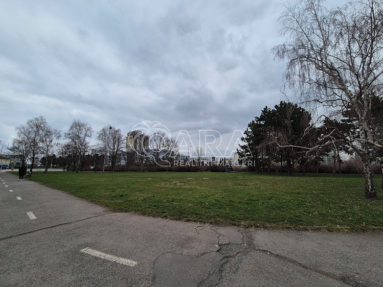 Pronájem pozemku 2 000 m² - foto 1