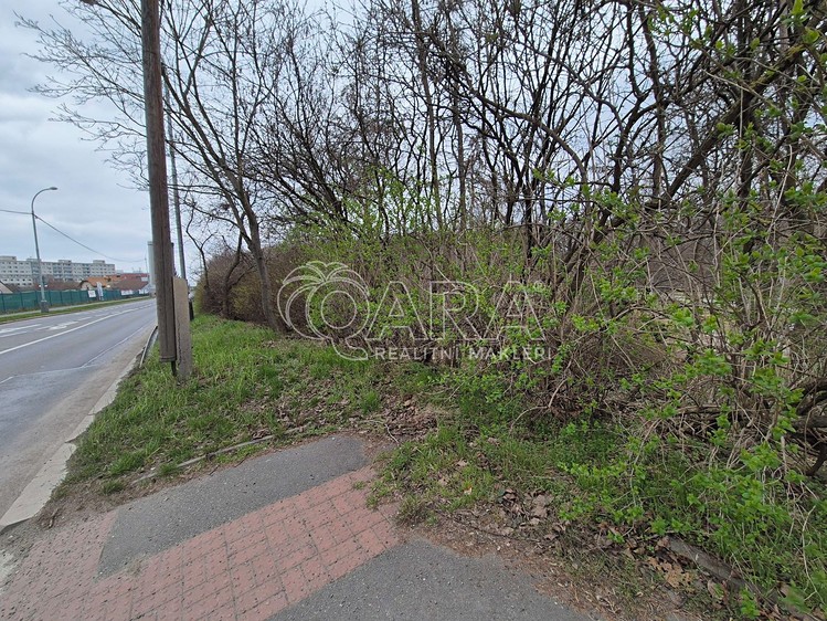 Pronájem pozemku 2 000 m² - foto 8