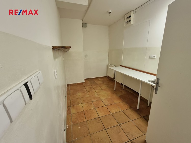 Prodej obchodního prostoru 164 m² - foto 8