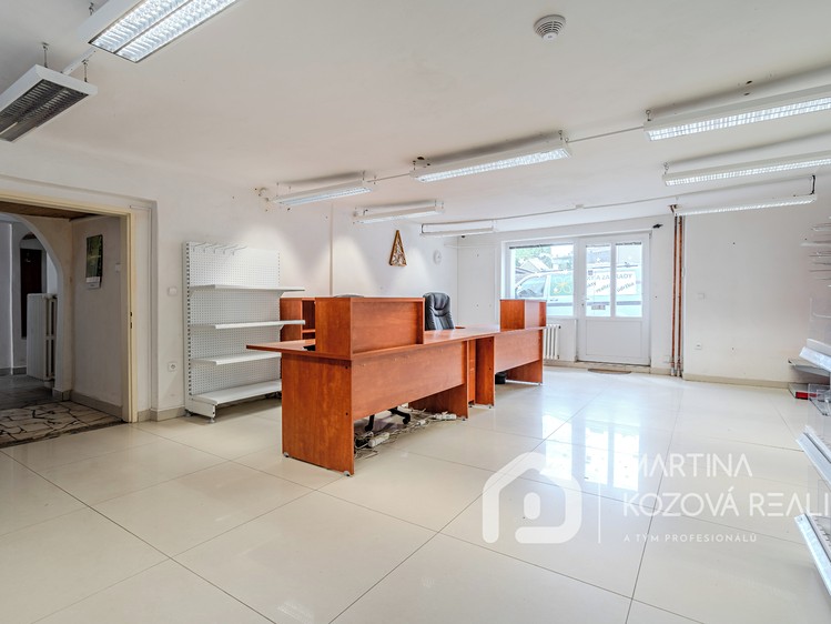 Prodej obchodního prostoru 278 m² - foto 6