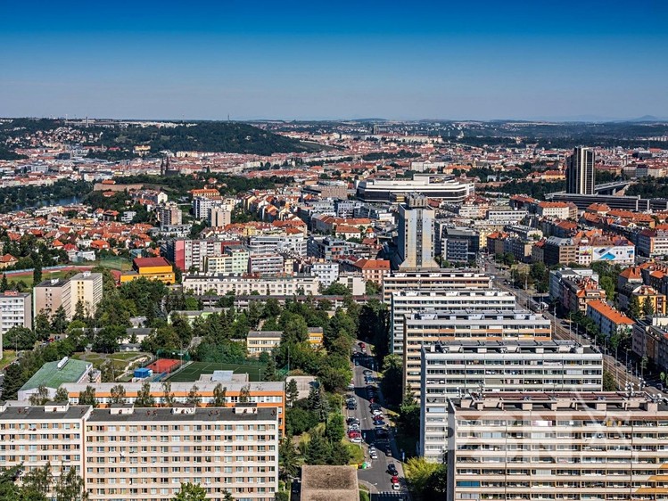 Pronájem kanceláře 25 m² - foto 5