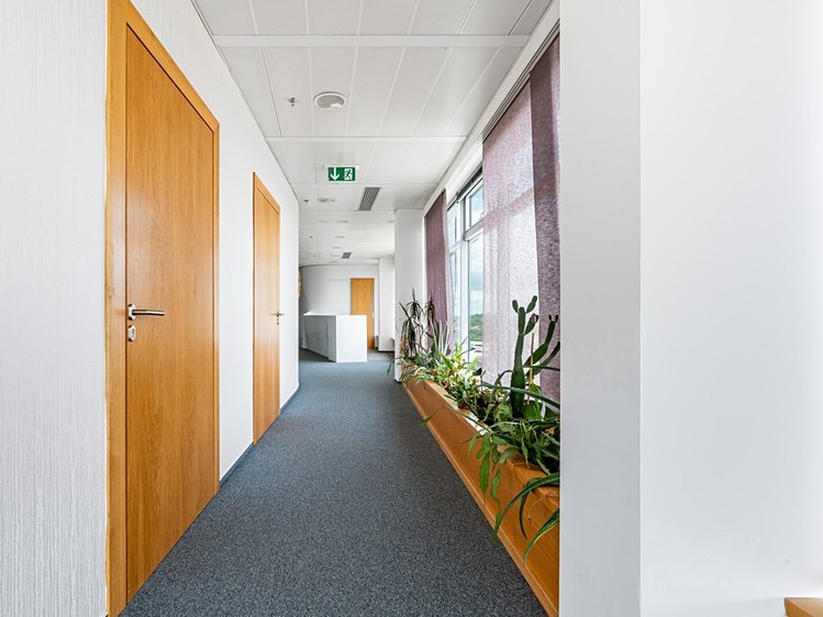 Pronájem kanceláře 280 m² - foto 7