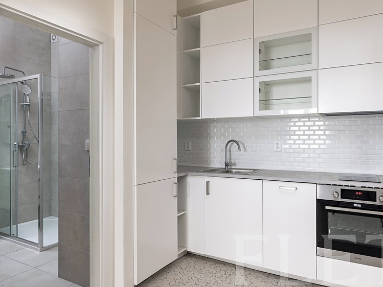 Prodej bytu 2+1 48 m² (Jednopodlažní) - foto 2
