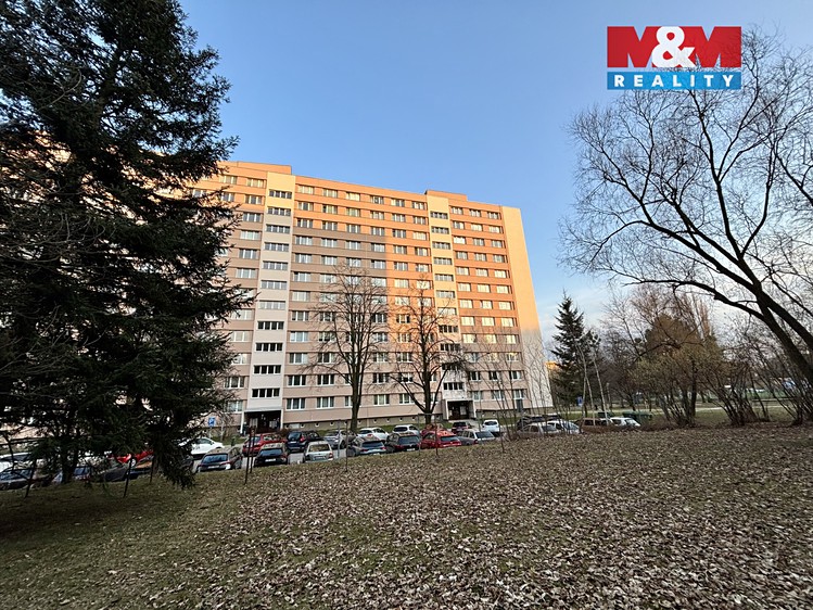 Prodej bytu 3+1 65 m² - foto 8