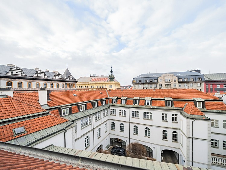 Prodej bytu atypické 295 m² (Mezonet) - foto 4