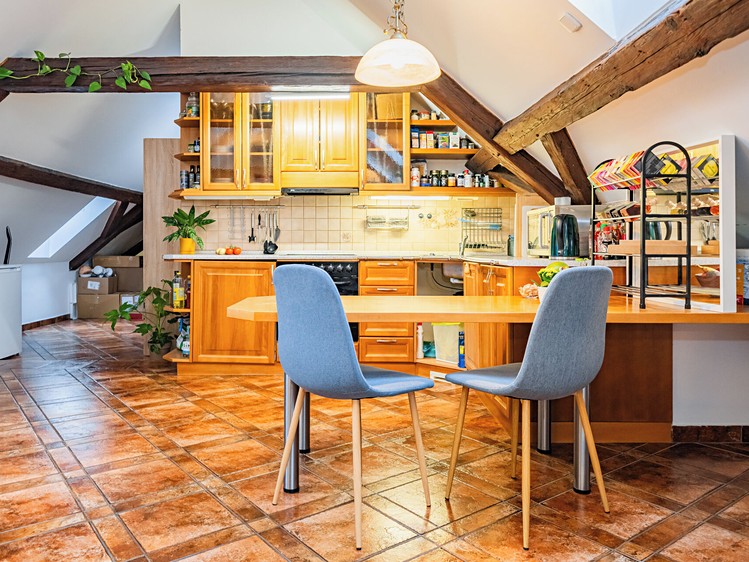 Prodej bytu atypické 295 m² (Mezonet) - foto 7