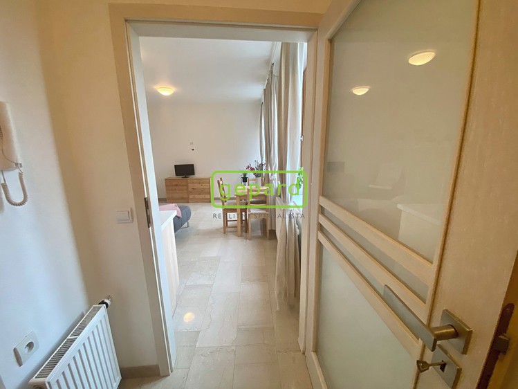Pronájem bytu 1+kk 34 m² - foto 4