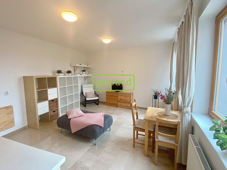 Pronájem bytu 1+kk 34 m² - foto 1