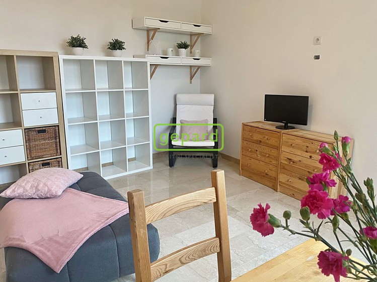 Pronájem bytu 1+kk 34 m² - foto 7