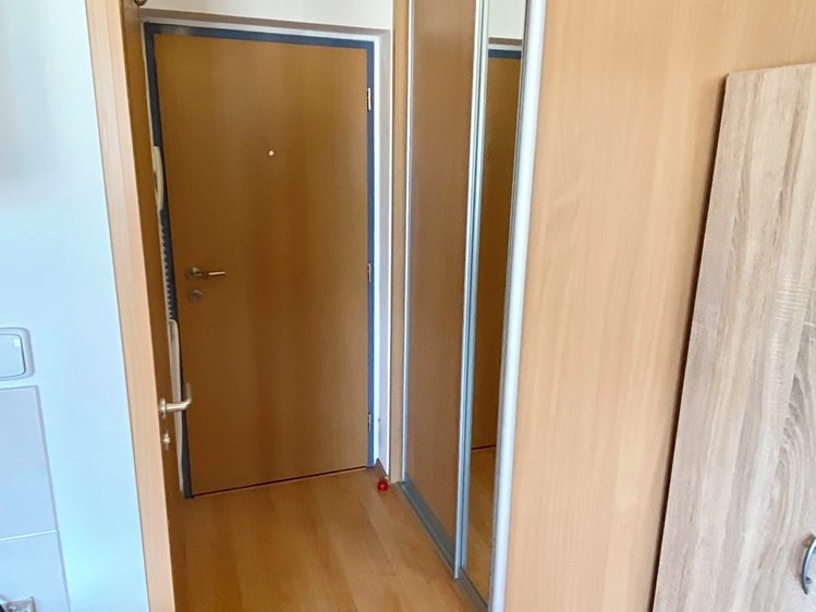 Pronájem bytu 1+kk 24 m² - foto 5