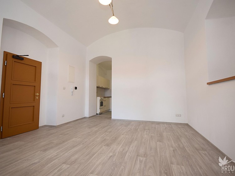 Pronájem bytu 1+kk 33 m² - foto 3