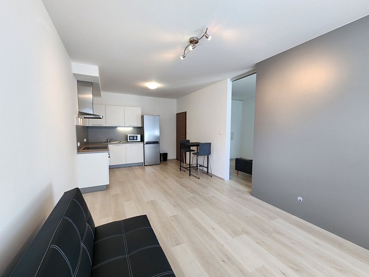 Pronájem bytu 2+kk 52 m² (Jednopodlažní) - foto 2
