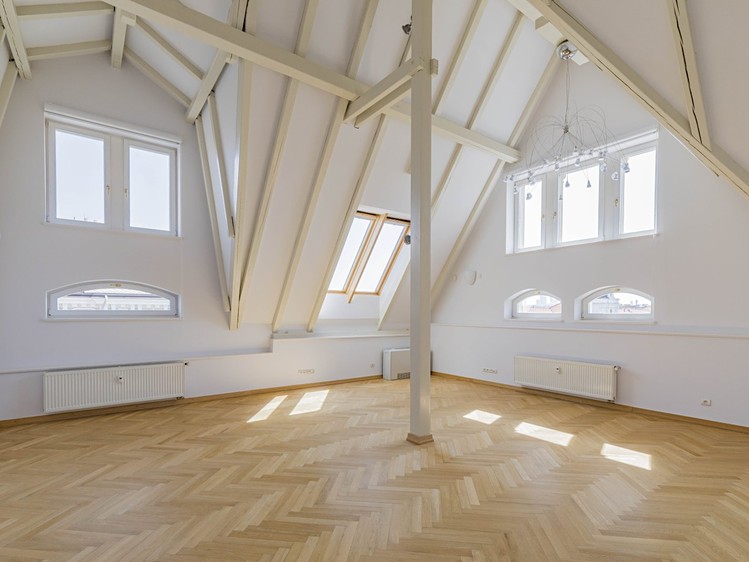 Pronájem bytu 5+1 286 m² - foto 3
