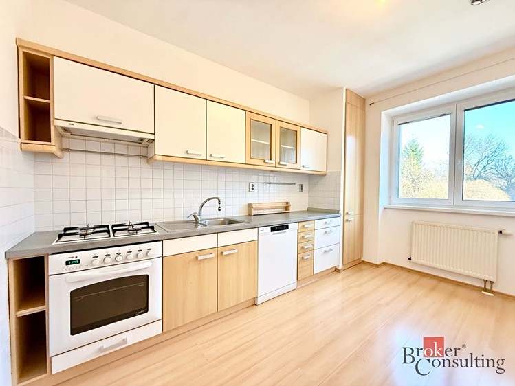 Pronájem bytu 2+1 67 m² - foto 1