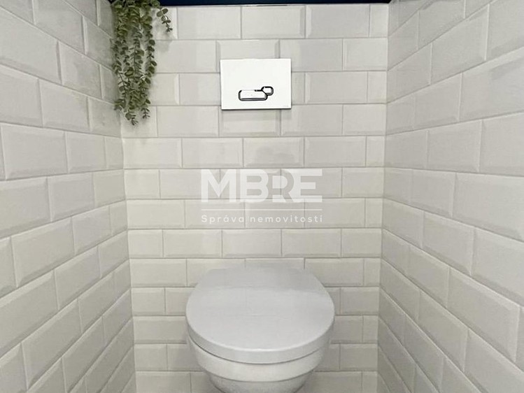 Pronájem bytu 2+1 54 m² - foto 4