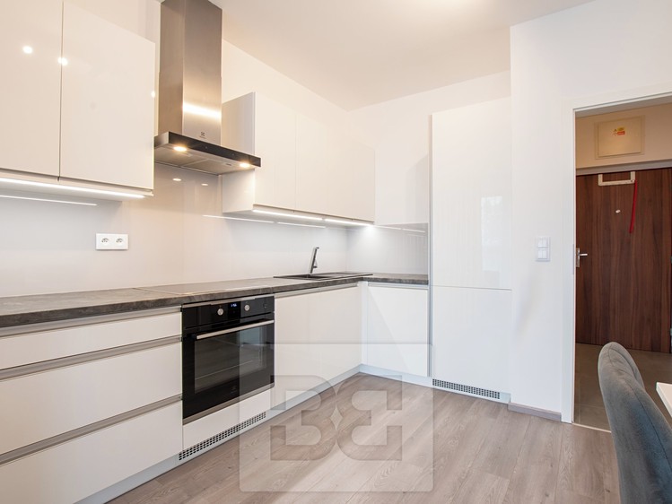 Pronájem bytu 1+kk 44 m² - foto 2