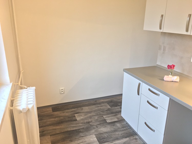 Pronájem bytu 2+1 55 m² - foto 3