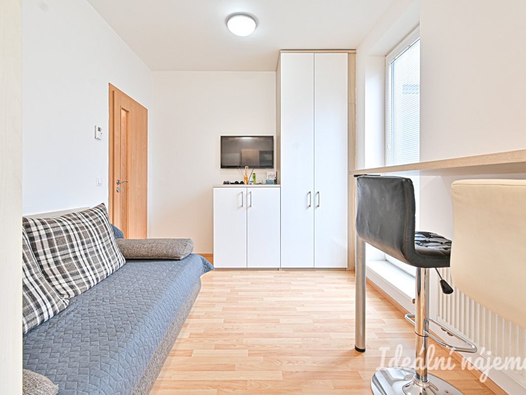 Pronájem bytu 1+kk 30 m² - foto 4