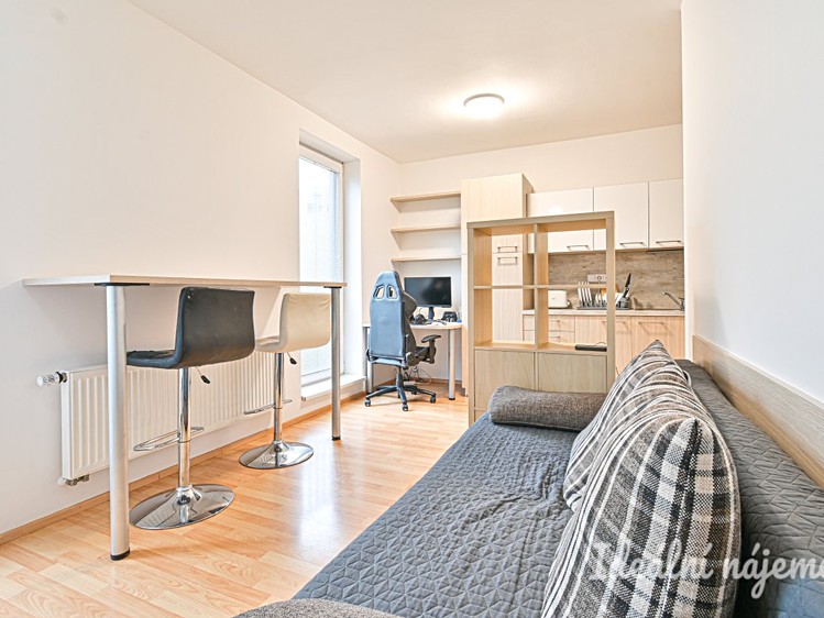Pronájem bytu 1+kk 30 m² - foto 3
