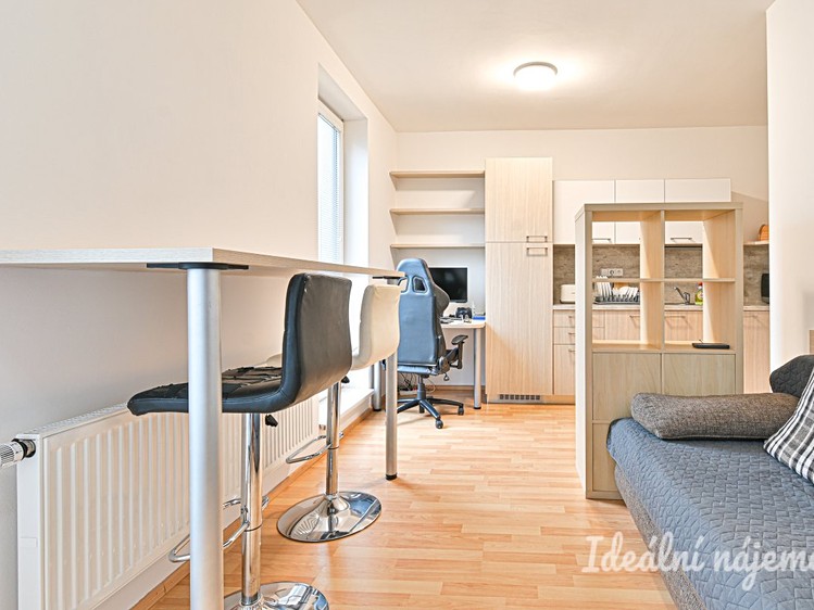 Pronájem bytu 1+kk 30 m² - foto 6