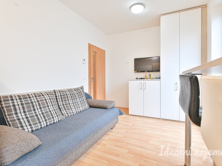 Pronájem bytu 1+kk 30 m² - foto 5