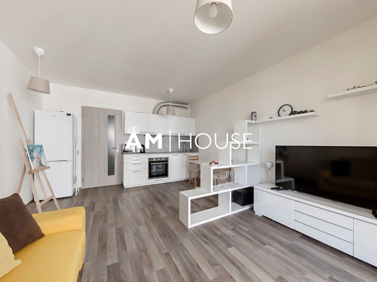 Pronájem bytu 1+kk 33 m² - foto 4