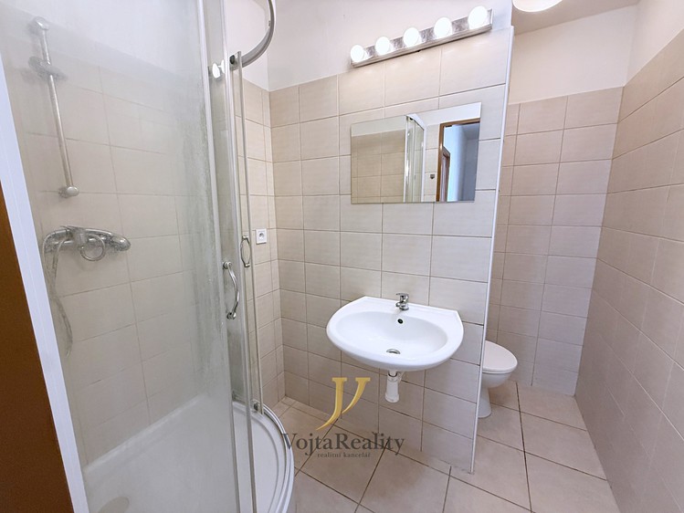 Pronájem bytu 2+1 43 m² - foto 8
