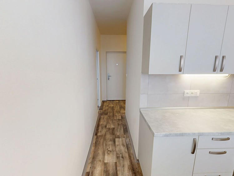 Pronájem bytu 2+1 53 m² (Jednopodlažní) - foto 3