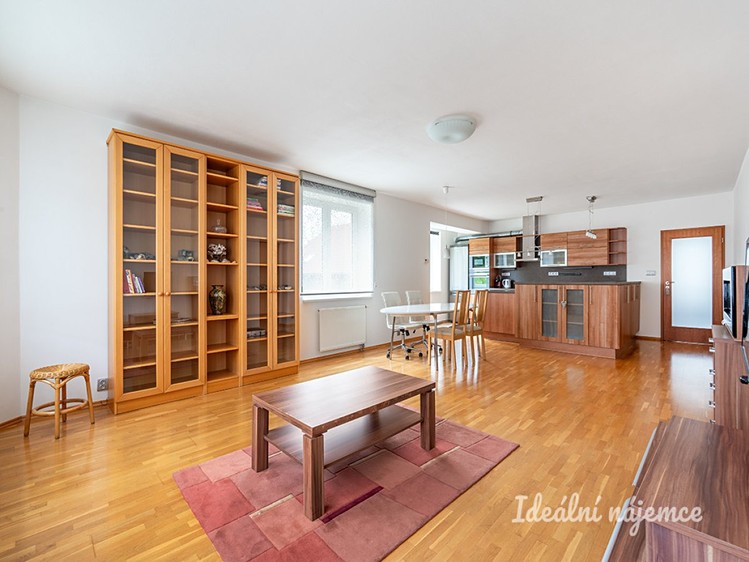 Pronájem bytu 4+kk 112 m² - foto 4