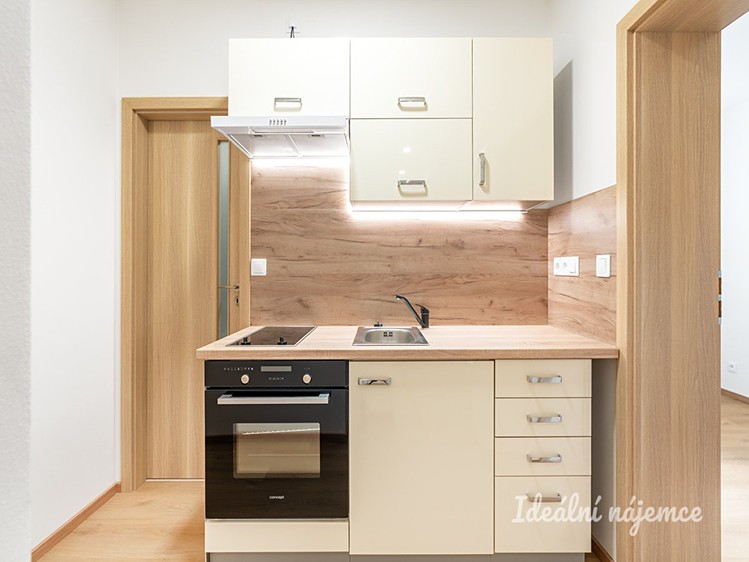 Pronájem bytu 3+kk 44 m² - foto 4