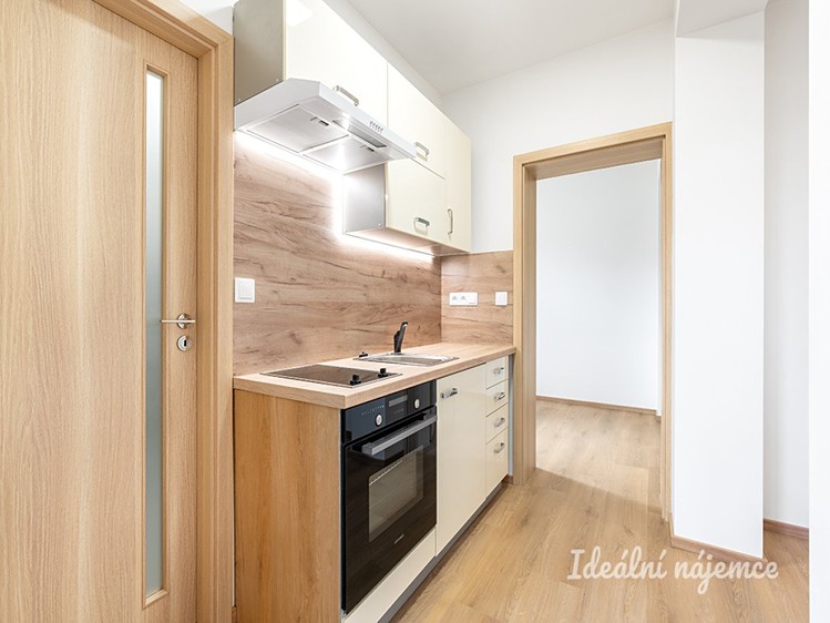 Pronájem bytu 3+kk 44 m² - foto 5
