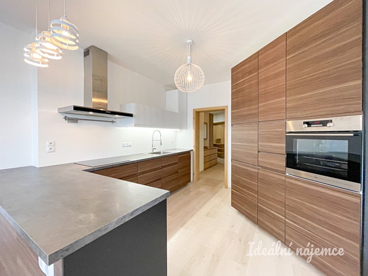 Pronájem bytu 1+kk 61 m² - foto 3