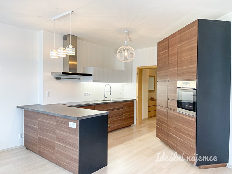 Pronájem bytu 1+kk 61 m² - foto 4