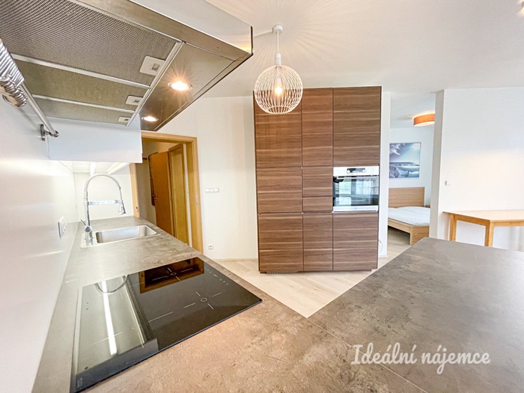 Pronájem bytu 1+kk 61 m² - foto 1