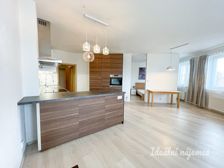 Pronájem bytu 1+kk 61 m² - foto 8