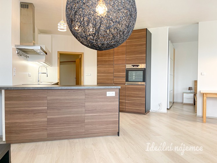 Pronájem bytu 1+kk 61 m² - foto 7