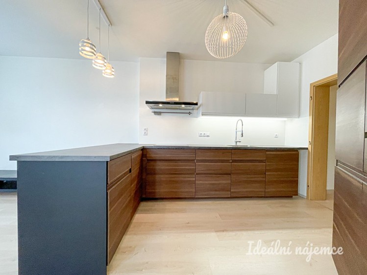 Pronájem bytu 1+kk 61 m² - foto 5