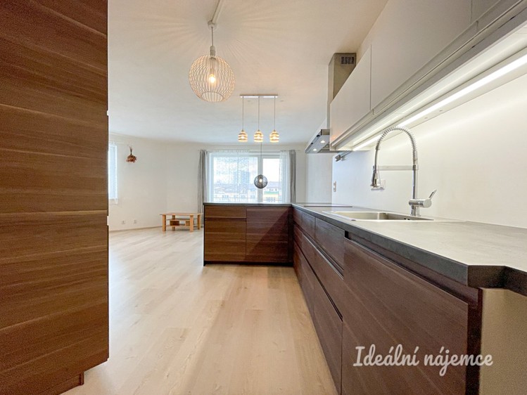Pronájem bytu 1+kk 61 m² - foto 6