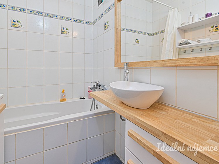 Pronájem bytu 1+1 45 m² - foto 7
