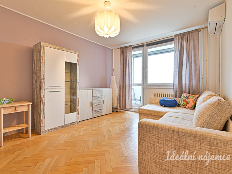 Pronájem bytu 1+1 45 m² - foto 6