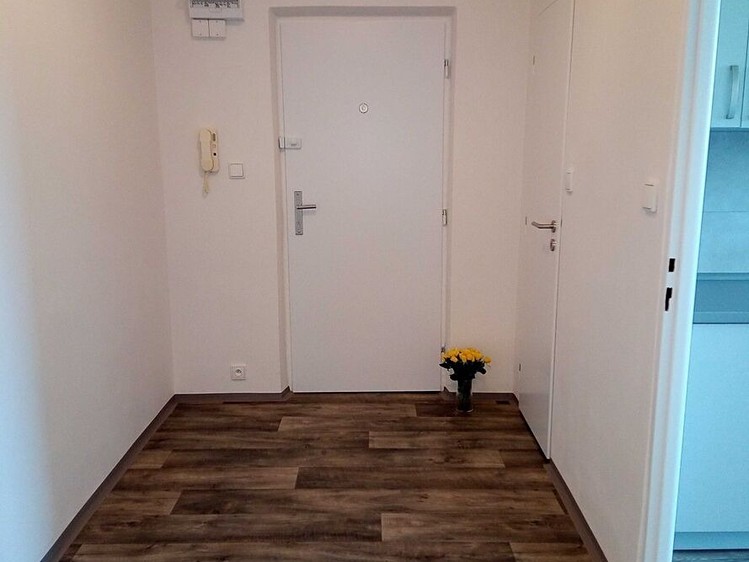 Pronájem bytu 2+1 57 m² (Jednopodlažní) - foto 3