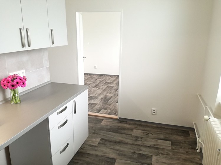 Pronájem bytu 2+1 55 m² (Jednopodlažní) - foto 4