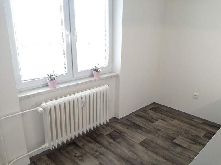 Pronájem bytu 2+1 55 m² (Jednopodlažní) - foto 3