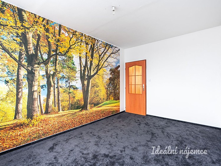 Pronájem bytu 3+1 73 m² - foto 8