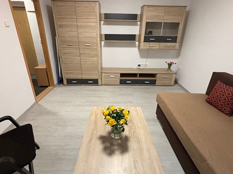 Pronájem bytu 1+1 28 m² - foto 6