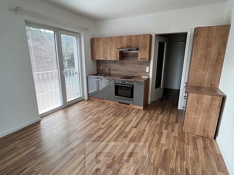 Pronájem bytu 1+kk 25 m² - foto 1