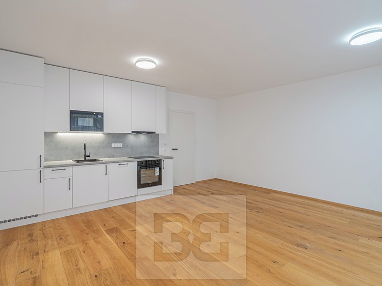 Pronájem bytu 1+kk 43 m² - foto 8