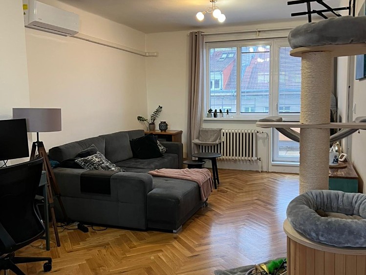 Pronájem bytu 2+1 86 m² (Jednopodlažní) - foto 4