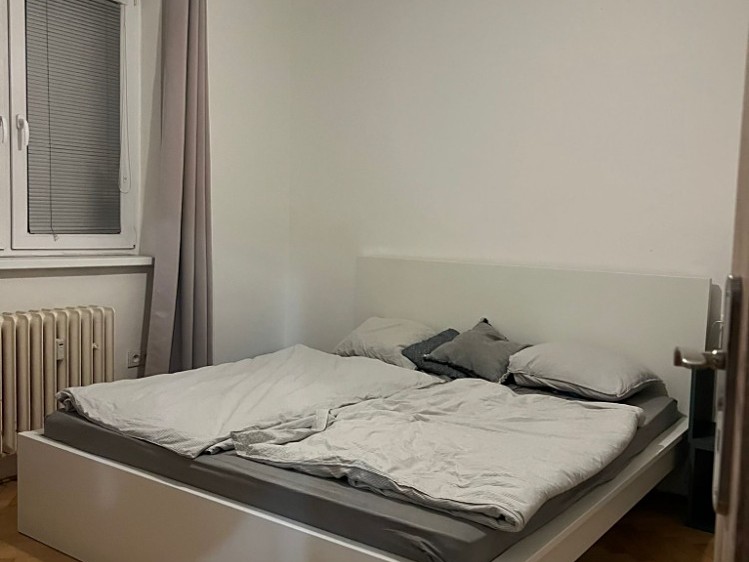 Pronájem bytu 2+1 86 m² (Jednopodlažní) - foto 7