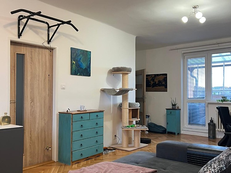 Pronájem bytu 2+1 86 m² (Jednopodlažní) - foto 6